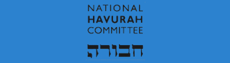 Rabbi Gottlieb at National Havurah Institute Workshop