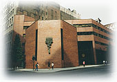 Rabbi Gottlieb at HUC-NY