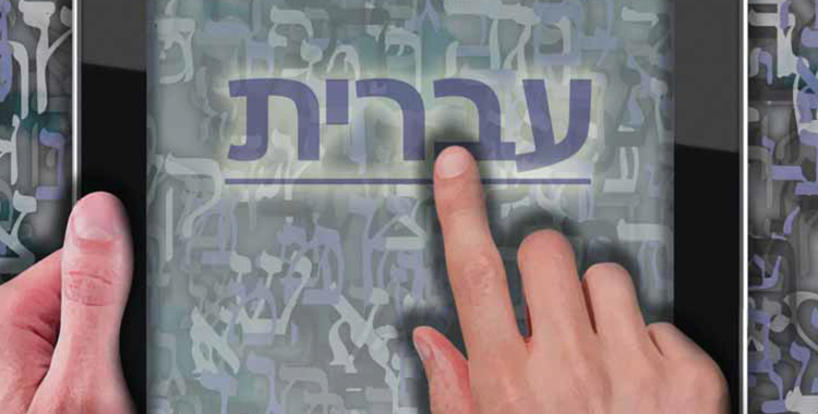 Article by Rabbi Gottlieb in Contact